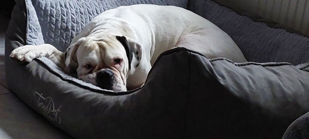 In meinem neuen Körbchen